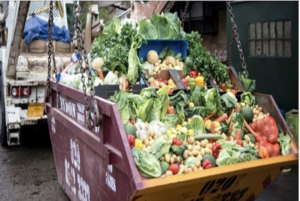 UK Food Waste