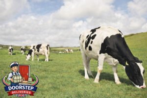 Doorstep Deliveries Blog cows
